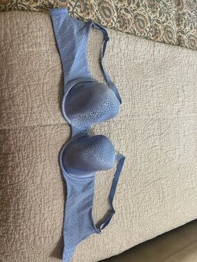 Wacoal Dusty Blue Molded Underwire Bra with Dot Detail